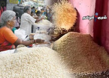 ஆயுத பூஜைக்கு தயாராகும் “பொரி” – ஆர்டர்கள் குவிந்து தொழிலாளர்கள் மகிழ்ச்சி