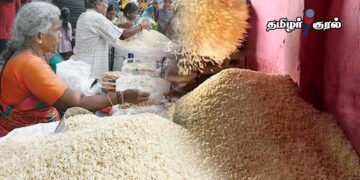 ஆயுத பூஜைக்கு தயாராகும் “பொரி” – ஆர்டர்கள் குவிந்து தொழிலாளர்கள் மகிழ்ச்சி