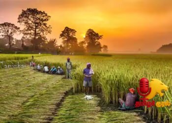 விவசாய வளர்ச்சிக்கு மத்திய-மாநில அரசுகளின் நடவடிக்கைகள் என்ன?