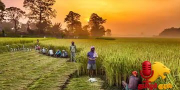 விவசாய வளர்ச்சிக்கு மத்திய-மாநில அரசுகளின் நடவடிக்கைகள் என்ன?