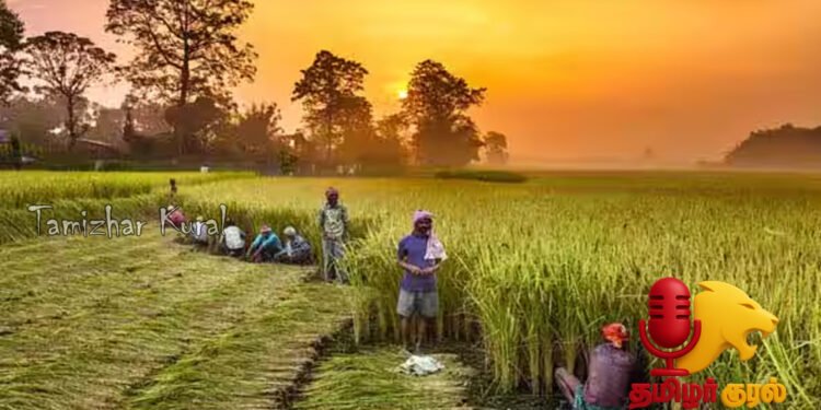 விவசாய வளர்ச்சிக்கு மத்திய-மாநில அரசுகளின் நடவடிக்கைகள் என்ன?