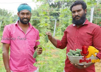 மூன்றரை ஏக்கரில் காய்கறி பயிர் – கத்திரி, வெண்டை, பாகலில் ரூ.3.90 லட்சம் வருமானம் பெற்ற சகோதரர்கள்