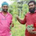 மூன்றரை ஏக்கரில் காய்கறி பயிர் – கத்திரி, வெண்டை, பாகலில் ரூ.3.90 லட்சம் வருமானம் பெற்ற சகோதரர்கள்