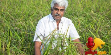 60 ஏக்கர் நிலத்தில் பாரம்பர்ய நெல் சாகுபடி – ஆண்டுக்கு ரூ.28.6 லட்சம் வருமானம் பெற்ற வழக்கறிஞர்!