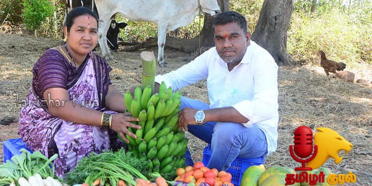 1 ஏக்கர் 20 சென்ட் நிலத்தில் ஏ கிரேடு நெல் ரூ.3.4 லட்சம் – ஏடிஎம் ரூ.2 லட்சம்; ஆந்திர மாடல் விவசாயம்!