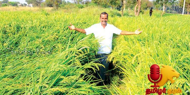 ஆண்டுக்கு ரூ.4 லட்சம் வருமானம் – தொழிற்சாலைகளுக்குள் பசுமை பண்ணை: நெல், காய்கறிகள், நாட்டு மாடுகள்!