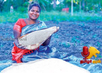 ரூ.58,000 குதிரைவாலி மகசூல் – மதிப்புக்கூட்டினால் கூடுதல் லாபம்!