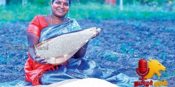 ரூ.58,000 குதிரைவாலி மகசூல் – மதிப்புக்கூட்டினால் கூடுதல் லாபம்!