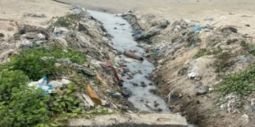 கீழக்கரை கடலில் கலக்கும் கழிவுநீர் – பொதுசுகாதாரத்துக்கும் கடல் வளத்துக்கும் பெரும் ஆபத்து! சுற்றுப்புற சூழல் ஆர்வலர்கள் கவலை!