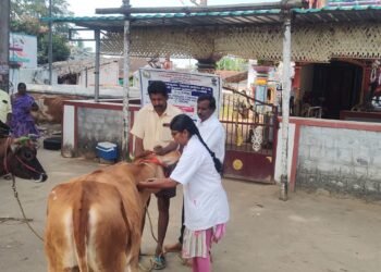 தமிழ்நாடு அரசு கால்நடை பராமரிப்பு துறை சார்பாக தேசிய கால்நடை நோய் தடுப்பு திட்டம்.