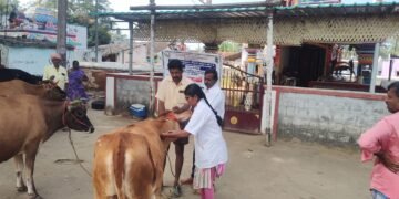 தமிழ்நாடு அரசு கால்நடை பராமரிப்பு துறை சார்பாக தேசிய கால்நடை நோய் தடுப்பு திட்டம்.